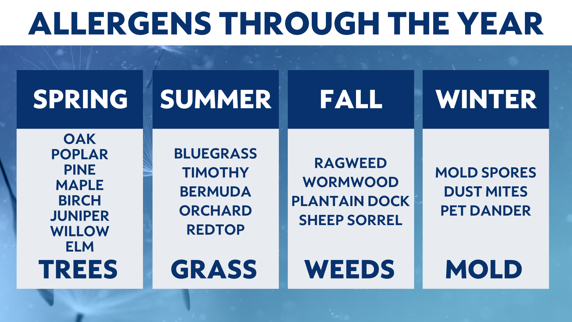 Achoo! Breaking down allergies by month